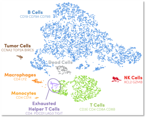 image of single cell transcriptome