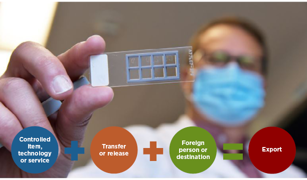 Researcher holding innovation with export equation art .