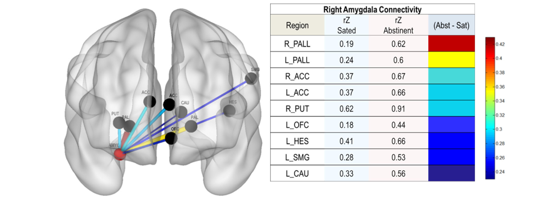 Brain