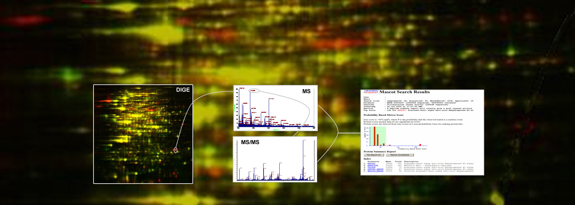 Proteomics results