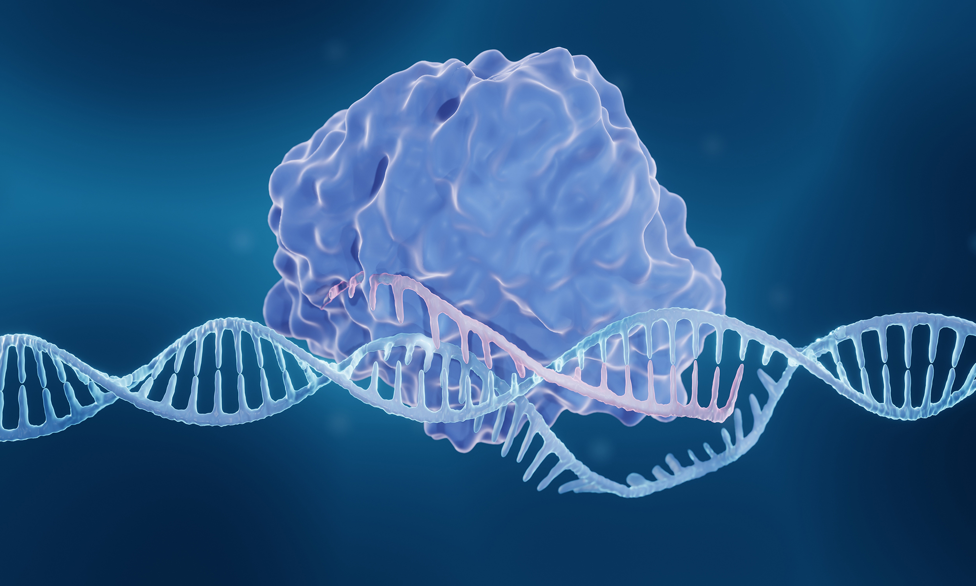 Illustration of CRISPR/CAS9 enzyme editing genome