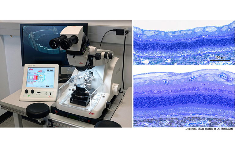 Leica ARTOS 3D Ultramicrotome and sample image