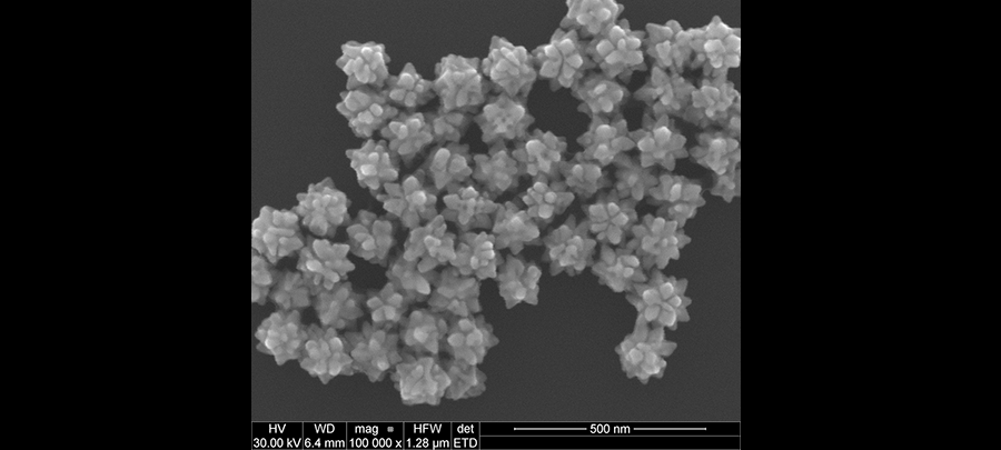 SEM image of polyhedral Au nanostars