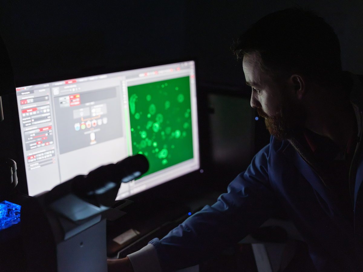 Andrew Kelleher looks at microscopic organoids on screen. 