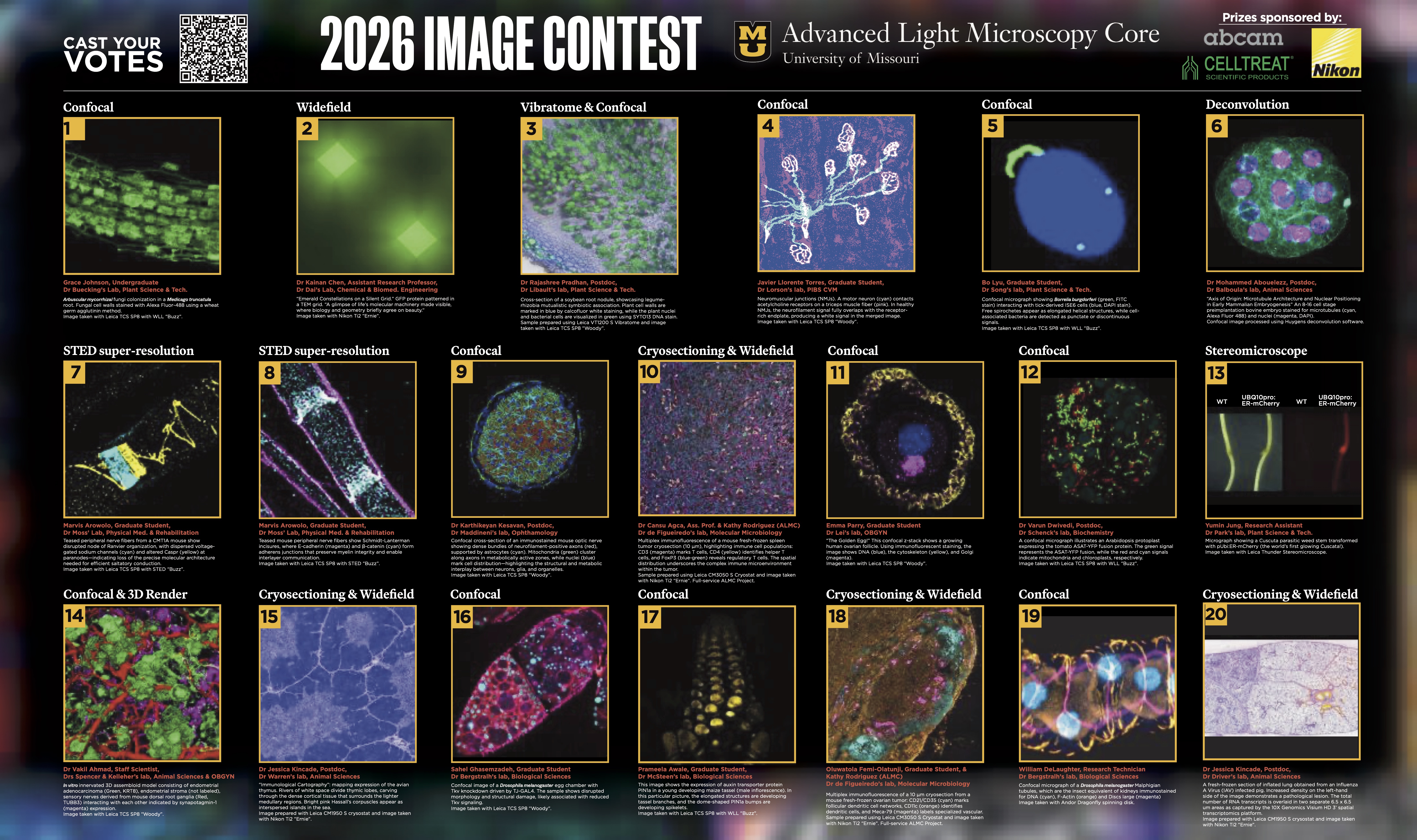 2026 ALMC image contest submissions