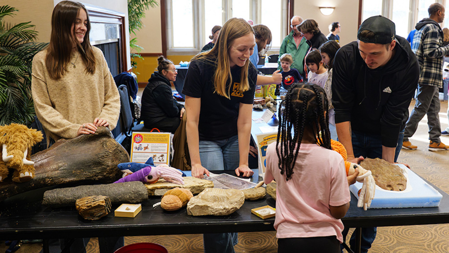 a child looks at fossils
