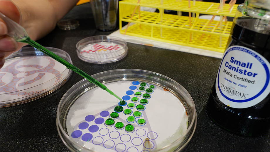 experiment with dots of colored water