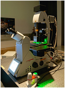 Leica TCS SP8 with digital light-sheet and diode lasers