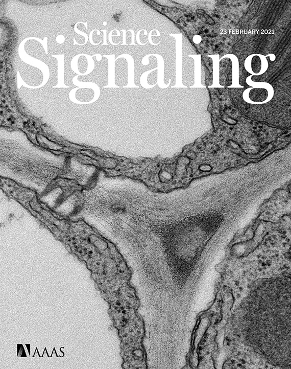 Science Signaling, 23 February 2021 issue cover