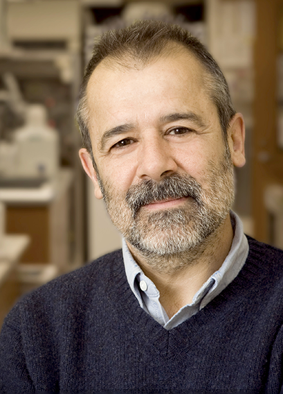 Jorge Galán, PhD, DVM, Lucille P. Markey Professor of Microbial Pathogenesis and Professor of Cell Biology, Yale School of Medicine