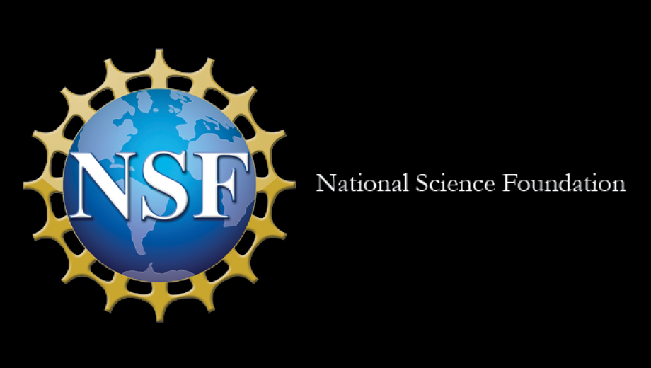 National Science Foundation logo