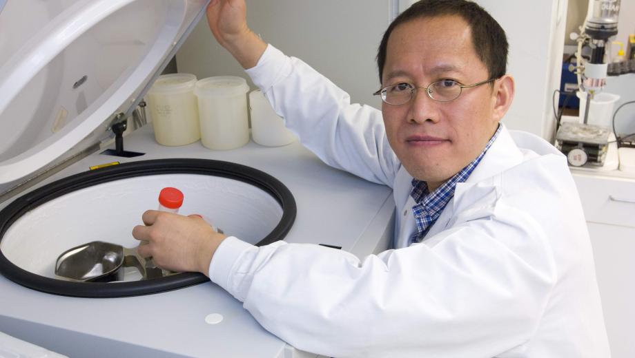 MU researcher Dongsheng Duan has focused much of his work on finding a cure for Duchenne muscular dystrophy. He holds numerous U.S. patents and was elected as a National Academy of Inventors Fellow
