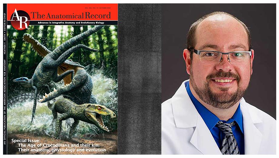 Split image contains cover of The Anatomical Record, The Age of Crocodilians and their kin: Their anatomy, physiology and evolution, with prehistoric croc attacking dinosaurs, and headshot of Casey Holliday.