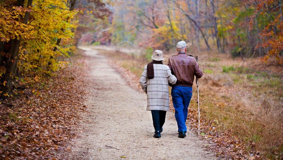 An older couple is seen from the back walking down a gravel path in an autumn setting of trees.