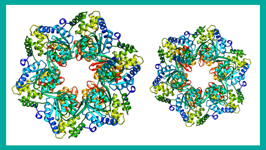 Protein structure image