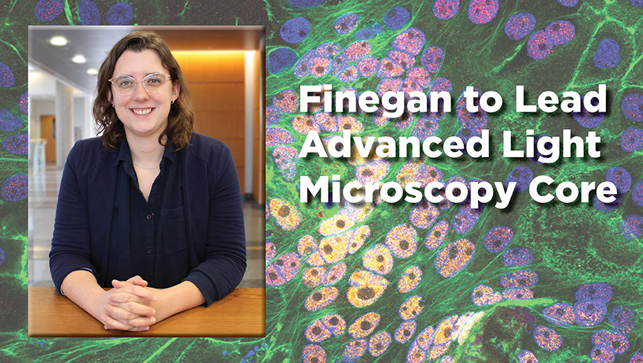 Tara Finegan photo graphic with headline: Finegan to lead Advanced Light Microscopy Core