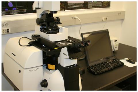 Applied Biosystems ArcturusXT Laser Capture Microdissection System