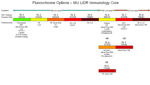 flurochrome illustration