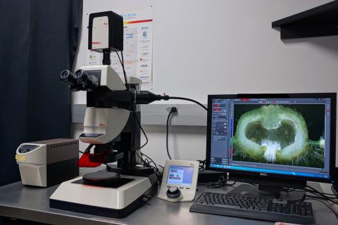 Leica M205 FA stereomicroscope