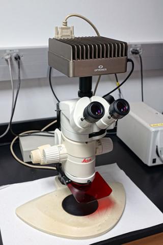 Leica MZ FLIII stereomicroscope