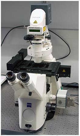 Zeiss Axiovert 200M with fluorescence and ORCA-ER camera