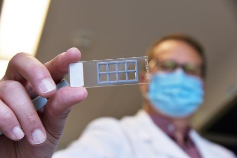 An out-of-focused researcher holds up a blank microscopic slide.