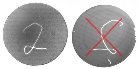 Left: Correct orientation, confluent monolayer. Right: Incorrect orientation, cell density too low.
