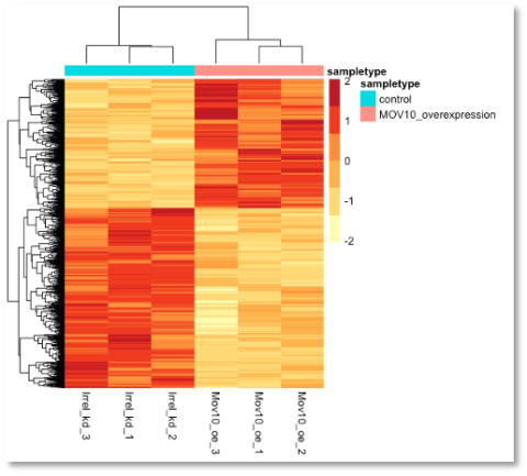 Image of heat map data