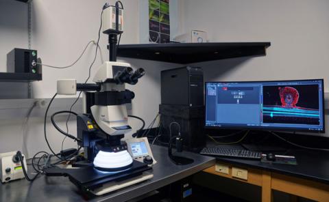 the Leica Thunder Stereomicroscopy System