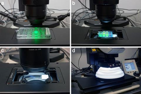 Image of options for the Leica Thunder Stereomicroscopy System