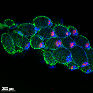 Christie Herd, Alexander Fanz's lab, winner 2022