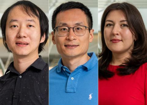 Bioinformatics and Analytics Core staff composite of 3 people