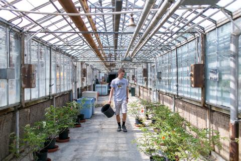 Ashland Road Greenhouse