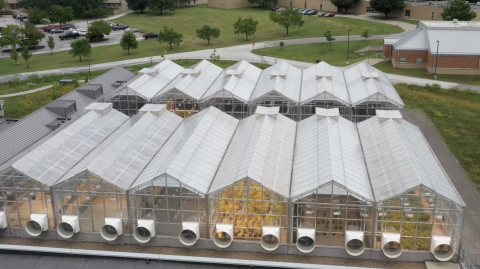East Campus greenhouse facility