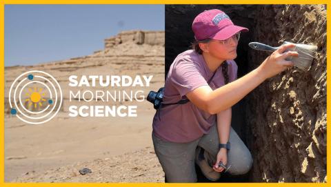 SMS Egypt graphic of anthropologist