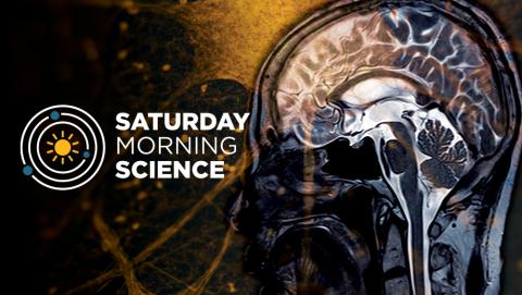 Brain graphic and MRI image