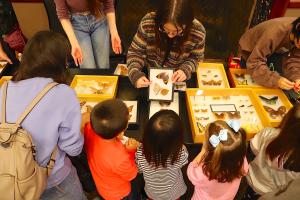 About 600 children and their parents explored University of Missouri science, technology, engineering and math research and creative activity hands-on during the Columbia Young Scientists Expo. Here, children explore a number of insects, including butterflies.