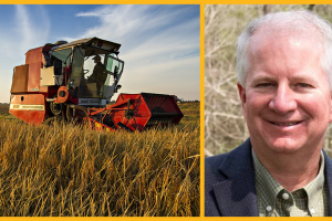 Split image of Rob Myers, and combine harvesting rice at the Fisher Delta Research Center.