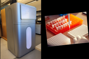 Left, NovaSeq X; right, scientist in lab