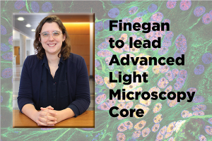 Tara Finegan photo with "Finegan to lead Advanced Light Microscopy Core."