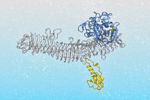 Structural rendering of EatA enzyme of enterotoxigenic E. coli